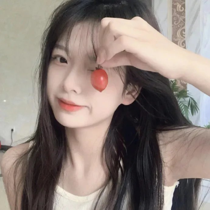 寻找特洛伊