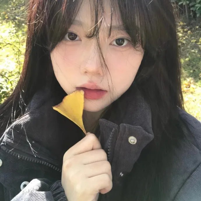 白色酢浆草