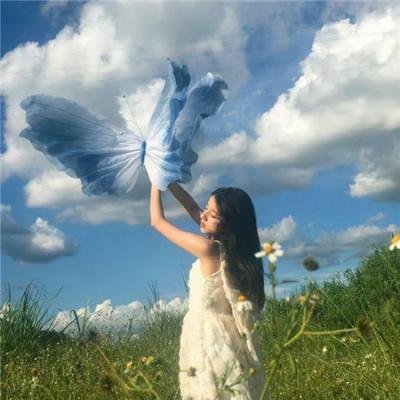 玻璃花与毁坏的世界